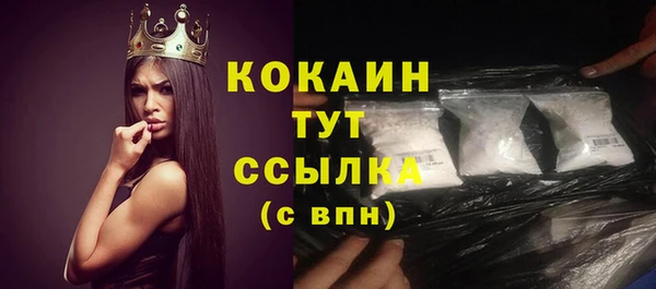 прущие грибы Беломорск
