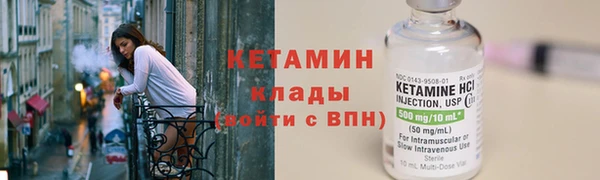 прущие грибы Беломорск