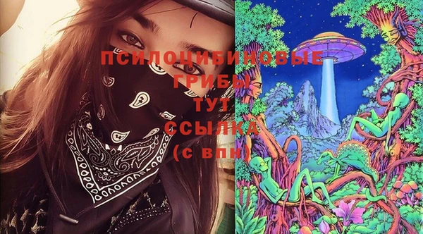 прущие грибы Беломорск
