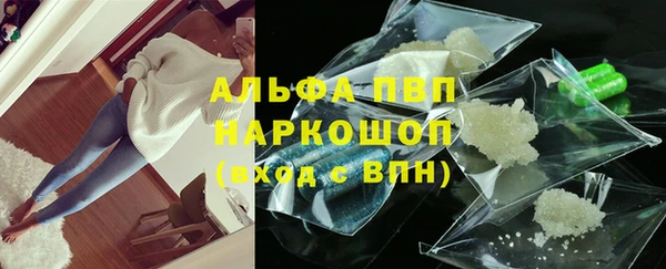 стаф Богородицк